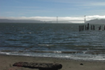 Camp-Reynolds-Surf-3 California Living TV View of the Golden Gate Bridge from Reynolds Beach, Angel Island