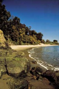 quarry-beach Quarry Beach ~ a little slice of Haven on Angel Island State Park